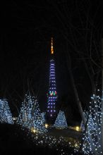 東京タワー　50周年