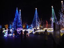 あづみの公園。