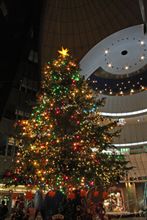 Merry Christmas !