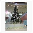 クリスマス イブ♪♪