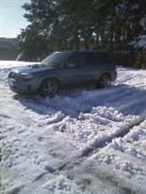 湿った雪
