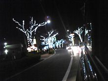 やっとこ帰ります。。
