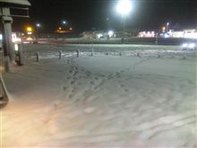 雪凄すぎ