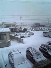 うわ～（汗　雪だよ…