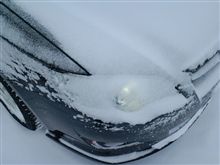 おはよ、ちょいと吹雪です(汗