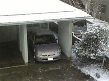 初雪・・・
