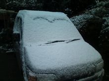 雪が降りました