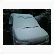 雪が降りました