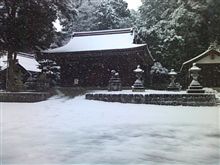 初雪です…