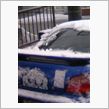 雪・・・止まないみたい