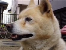 きょうは････無理っ！