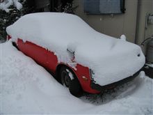 雪に埋まってます。