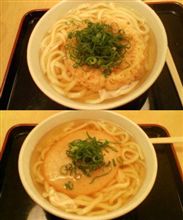 まる天うどん