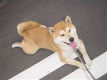 暇ひまヒマＨＩＭＡ(.-.)ヒマ(:I )ヒマ(&#176;-&#176;)ヒマ( I:)ヒマ