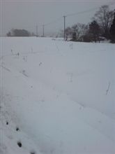 雪中行軍♪