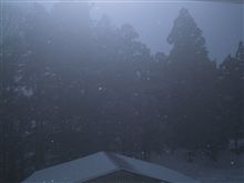 本格的な