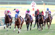 心臓が止まるかと思った・・・・・有馬記念（泣
