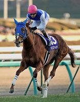 きた~!有馬記念で三連複的中!!! きた~!有馬記念で三連複的中!!!