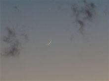 水星見えました！