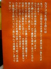 ネタ ネタ