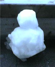 雪降りましたね