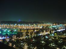 夜のＴＤＬ