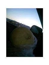 海老名で。