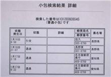 スキー板が迷子みたいです