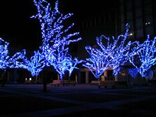 2008年も暮れていきますね☆ 2008年も暮れていきますね☆