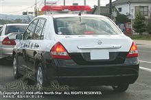長崎で良く目にする車種