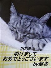 あけおめ 