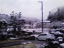 新年を迎えましたね