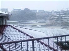 明けましておめでとうございます