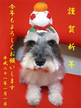 今年もよろしくお願いします☆