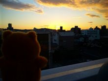 元旦ですが・・・・・