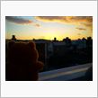 元旦ですが・・・・・