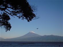 謹賀新年