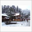 新年早々・・・焦