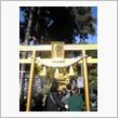 ゴールド神社～初詣