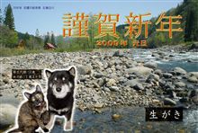 １秒長くおめでとう～～♪
