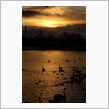高松の池の夕暮れ
