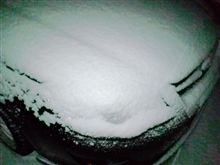 おはよ、積もった♪