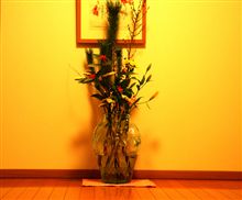 今年のモディファイ計画