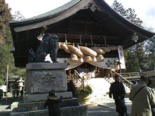 今日も穏やか 初詣。