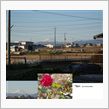 今年も宜しく　お願いします！