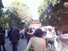 毎年ここです