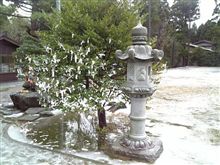 神頼み？