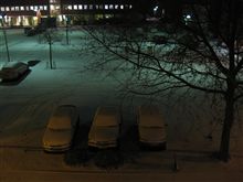 起きたら雪国だった。