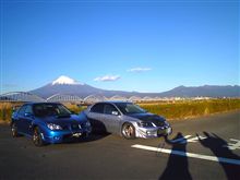 桜エビ大作戦