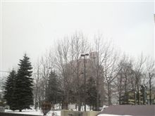 今日は雪が降って寒いですね
